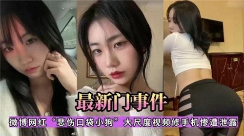最新门事件微博网红悲伤口袋小狗大尺度视频修手机惨遭泄露